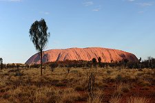 Ayers Rock / Uluru