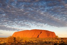 Ayers Rock / Uluru