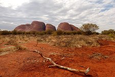 Oglas / Kata Tjuta