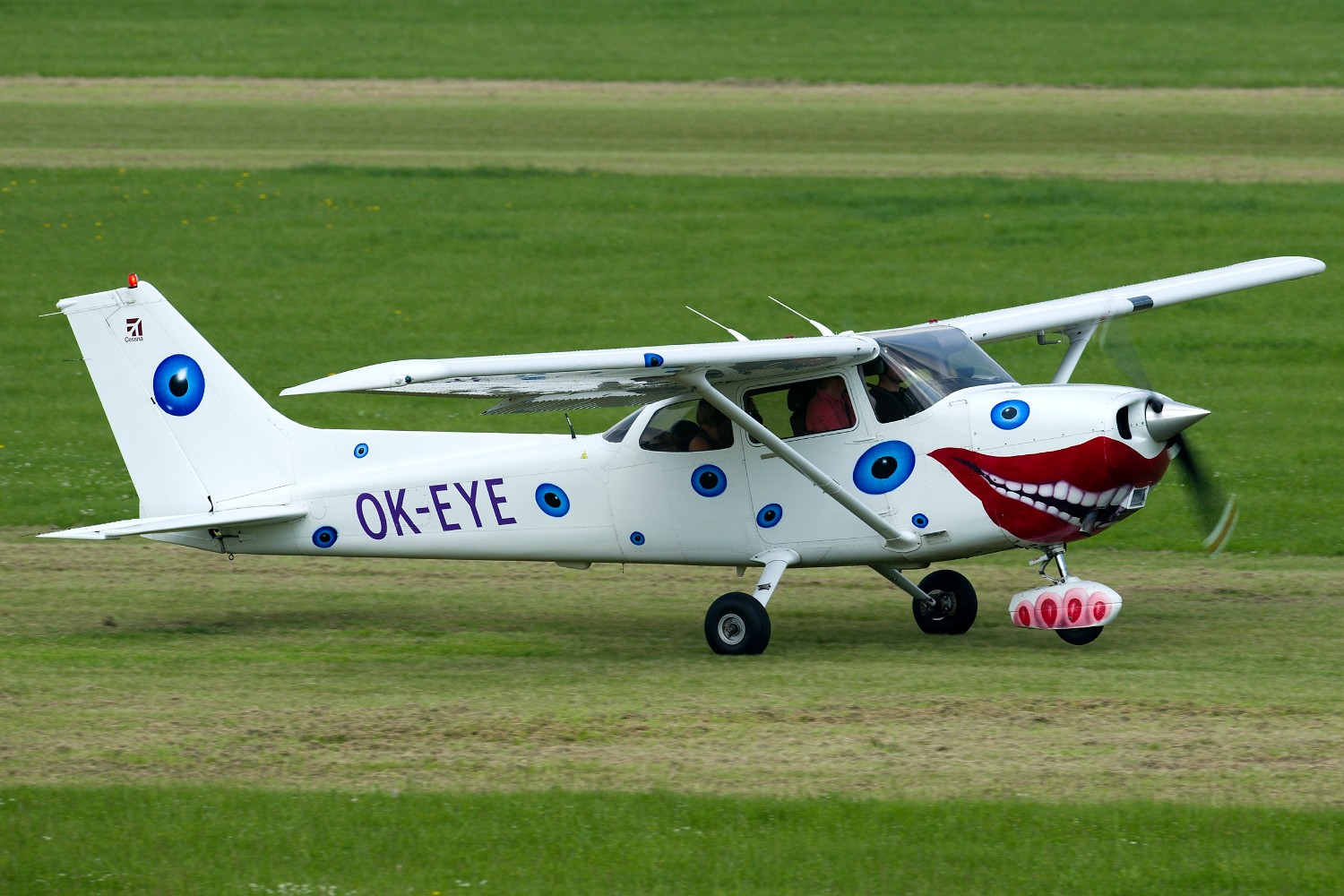 OKEYE 7988